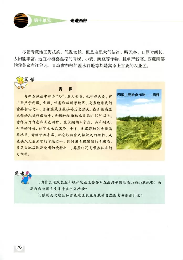꼶̲